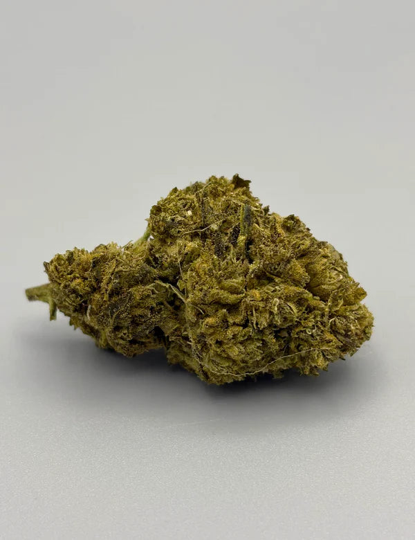 TROPICAL WILD / 50SC / Très Puissant